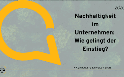 Nachhaltigkeit im Unternehmen: Wie gelingt der Einstieg?