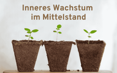 5 Barrieren fürs innere Wachstum im Mittelstand