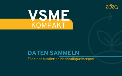 VSME Kompakt: Daten sammeln