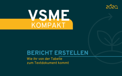 VSME Kompakt: Bericht erstellen