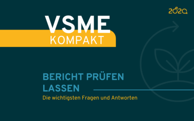 VSME Kompakt: Bericht prüfen lassen